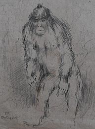 yeti-story_675650e.jpg